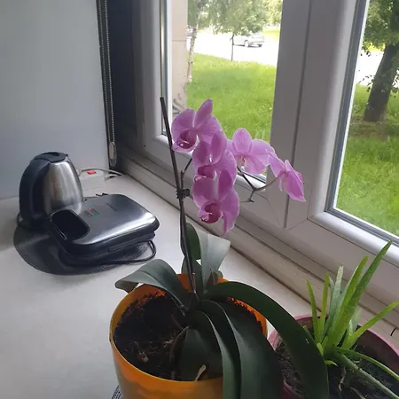 Oli Appartement Sarajevo